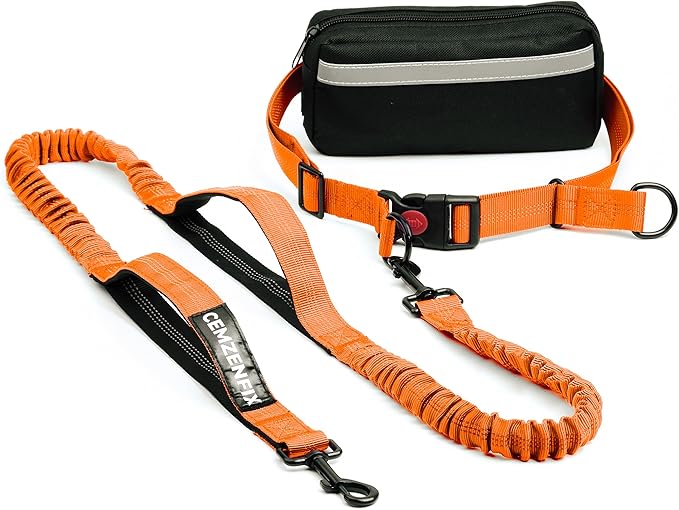 Hands Free Dog Leash with Waist Belt – No-Pull Bungee, Dual Padded Handles & Zipper Pouch for Running, Walking & Training – Adjustable Waist Leash for Large & Medium Dogs