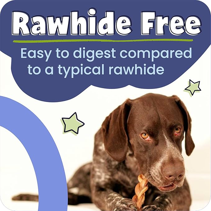 Pawstruck Natural 12” Braided Bully Sticks for Dogs - Tough, Long-Lasting, Rawhide-Free, Low Odor, Healthy Single Ingredient Chew Treat for Aggressive Chewers - 10 Count - Packaging May Vary