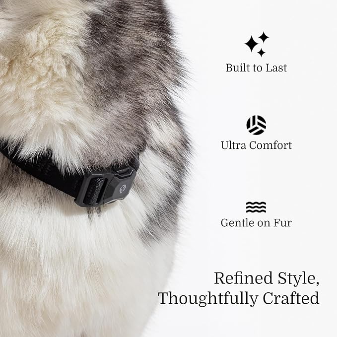 2026 New Edition, Fei & Eve MagEase Dog Collar - Patented Magnetic Buckles | Fur-Safe | Premium 210D Nylon | 450LB Escape-Proof | Adjustable Fit | Large (Black)