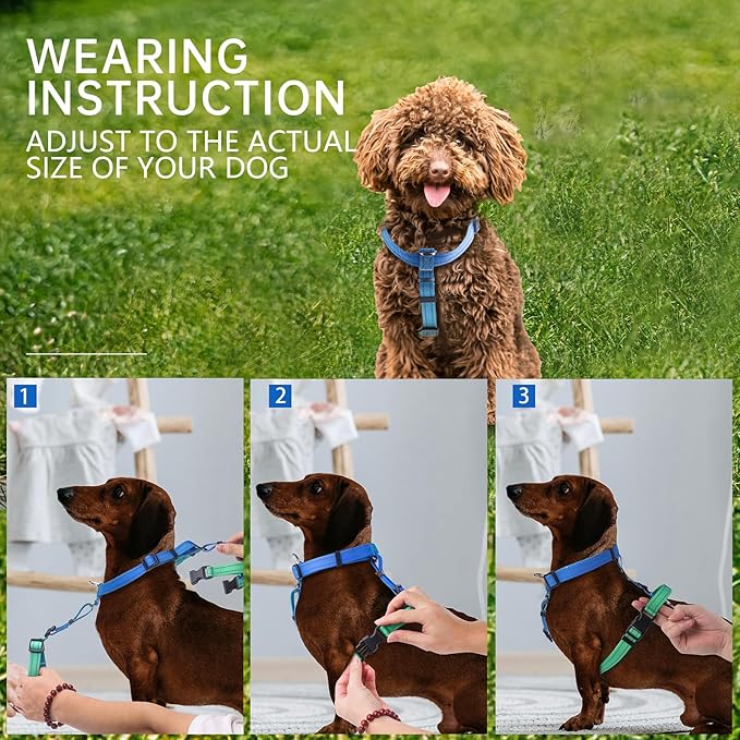 Roses&Poetry Dog Harness Medium Sized Dog, 6 Point Adjustable Fit No Pull Harness with Handle for Control and Easy Walking, Reflective Pet Halter Harnesses（Bluegreen-M）