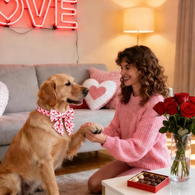 DOGWONG Valentine's Day Dog Collar with Bow Tie - Adorable Pet Collar Red Hearts with Rose Gold Buckle for Large Medium Small Dog Walking, L