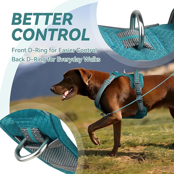 VIVAGLORY Dog Harness Easewalk No Pull Dog Harness with Handle Front Clip & Back Clip for Training Walking Lifting, No Pull Adjustable Easy On Padded Comfortable for Pet, M, Hunter Teal - Patterned