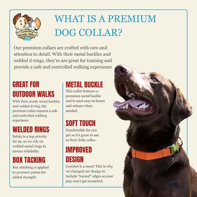Country Brook Petz - Premium Nylon Dog Collar with Metal Buckle for Small Medium Large Breeds - 10+ Warm Colors (Large, 1 Inch, Orange)