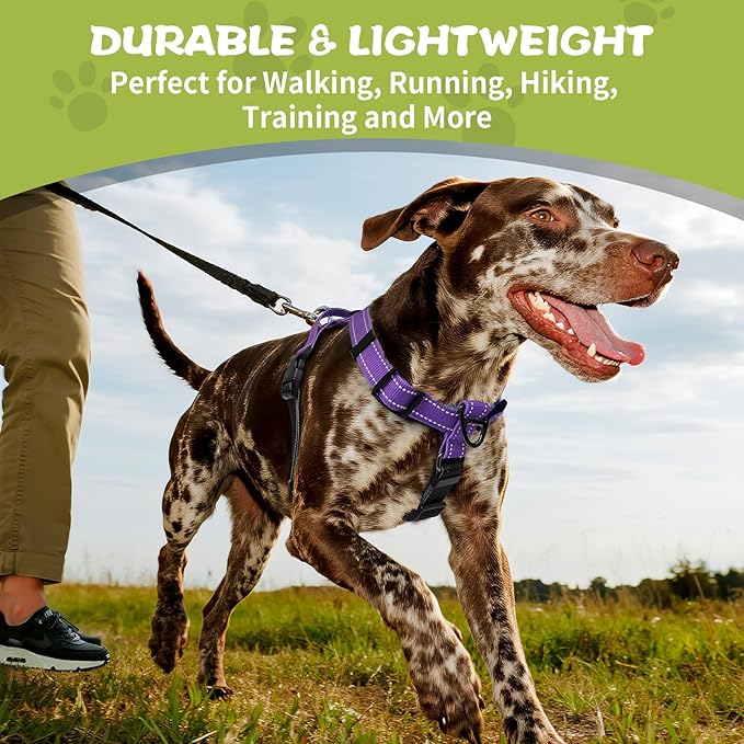 Dog Harness,Adjustable No Pull Dog Harness,Y-Shaped Design,Buckle-Neck Balance Harness with Reflective, Ideal for Dog Training Hiking, Easy Walk Harness,Durable High-Tensile Nylon Purple-XL