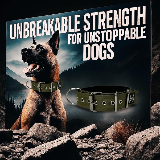 SparkDog Collars Working Dog Collar - 2" 4ply Padded Dog Collar Heavy Duty Stainless Steel Tactical Seatbelt Wide Buckle Collar (OD Green 2.0, 16-21" Large)