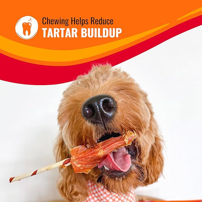Good ‘n’ Fun Triple Flavor Kabobs Chews for All Dogs, 48 Ounces, Treat Your Dog to Long-Lasting Chews Made from Beef Hide, Real Chicken, Pork Hide, Duck and Chicken Liver