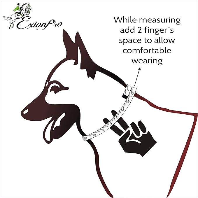 Exion Geniun Leather Dog Collar Designer Stitched Soft Leather Padded- Suitable for Small Medium Large X-Large Dogs for Walking Running- Black with Blue Padding