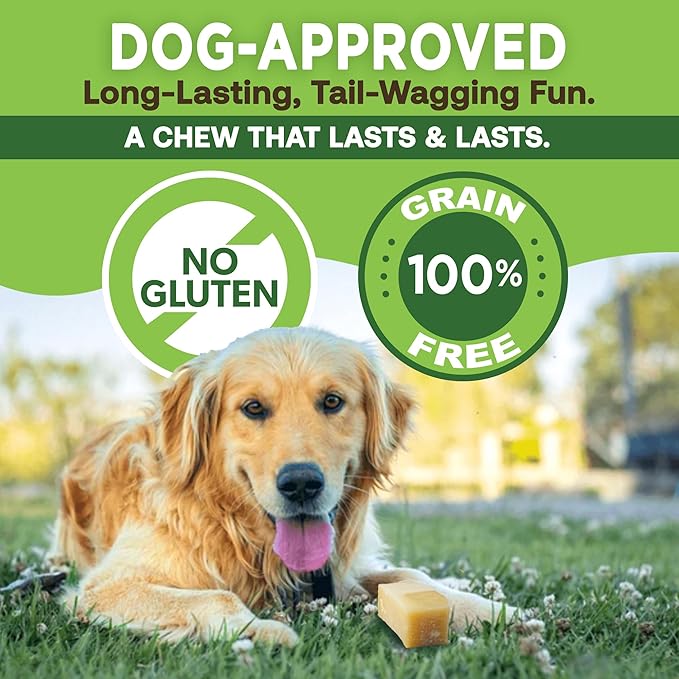 EcoKind Premium Gold Yak Cheese Himalayan Dog Chews, Dog Treats Large Breed, All Natural, High Protein, for Aggressive Chewers, Large - 3 Chews
