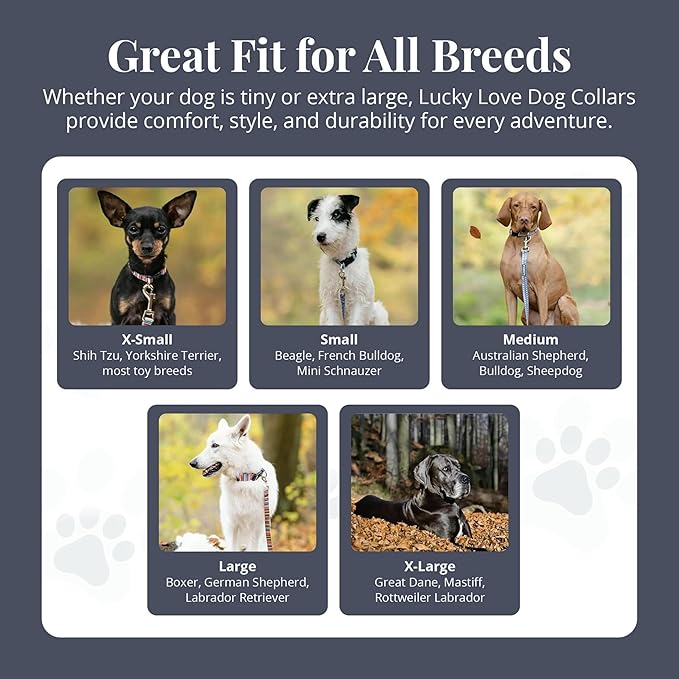 Lucky Love Dog Wide Dog Collar - Adjustable, Durable, Soft Webbing, & Comfortable 1.5 inch Wide Collar for Dogs Male and Female with Strong Buckle - Oscar, Large
