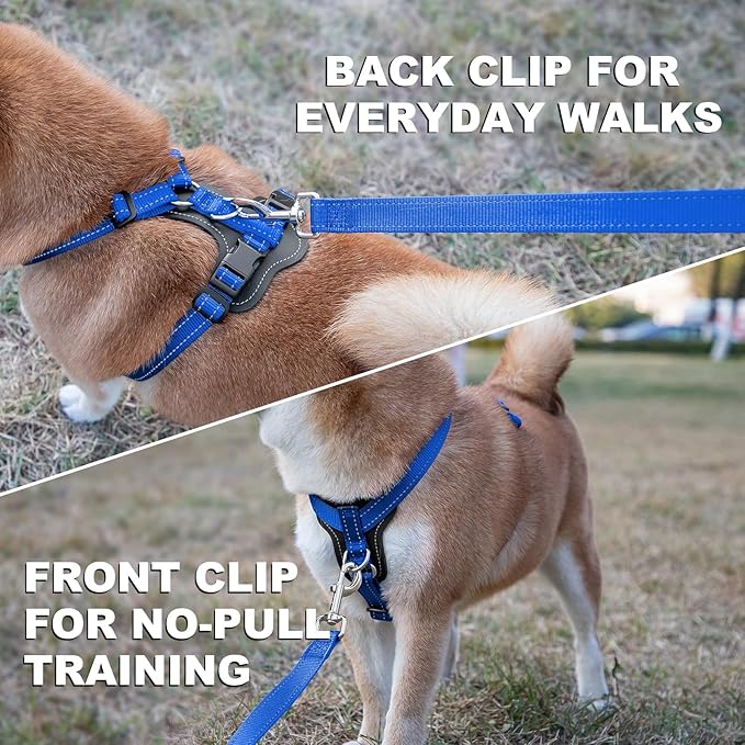 Plutus Pet Adjustable No Pull Dog Harness with Leather Accents, Heavy Duty Reflective Nylon Vest for Training, Hiking, Easy Walk Harness for Small, Medium, Large Dogs (Royal Blue, S)