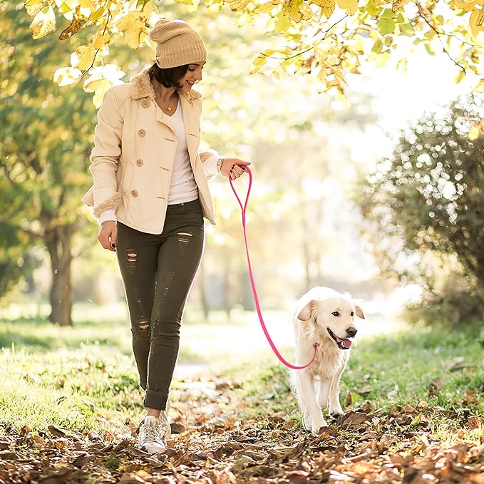 Dogline Biothane Slip Dog Leash - for Small, Medium and Large Dogs - Odor Free Slip Lead, Heavy Duty and Durable Material Kennel Lead - Passionfruit Pink - 7ft L x 1/2in W
