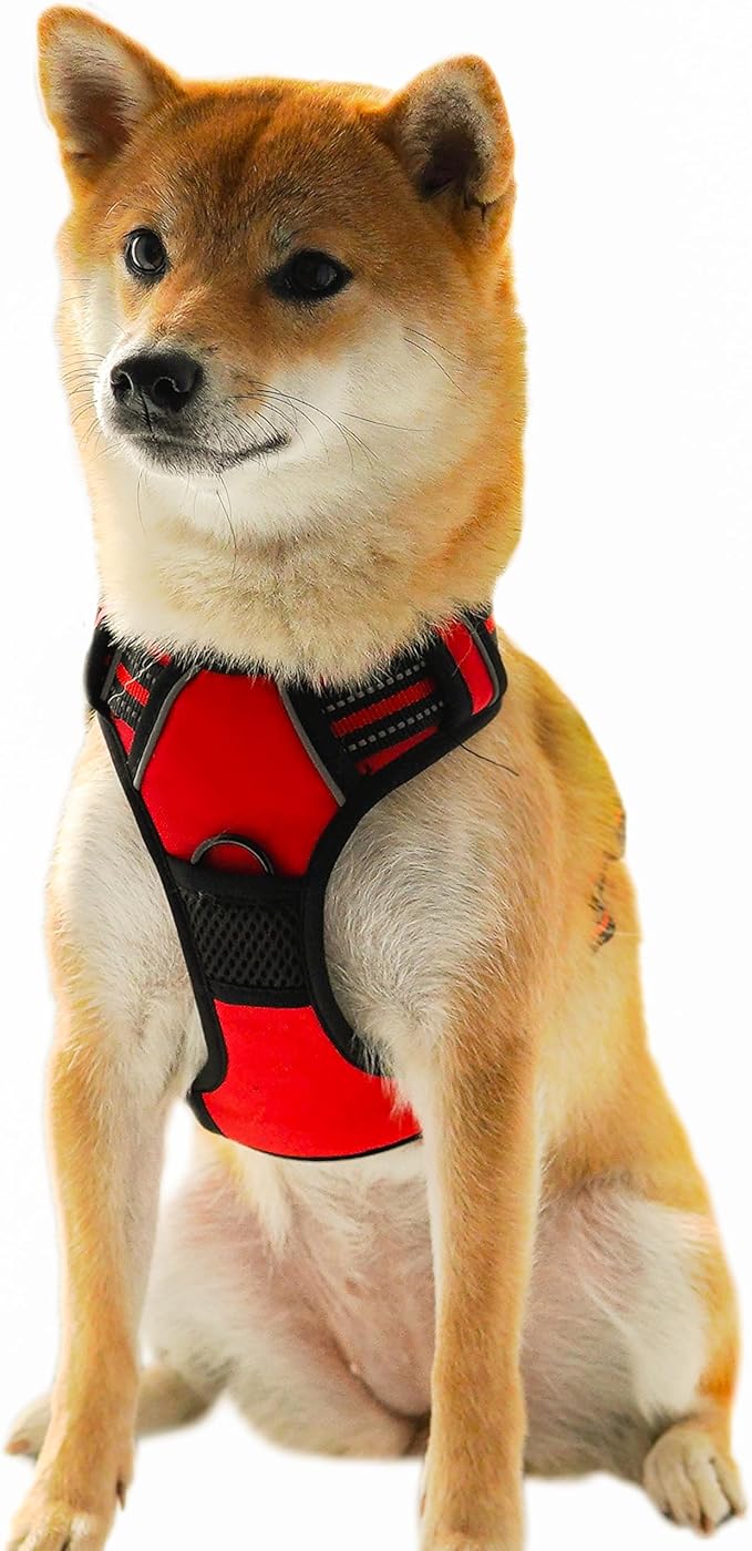 Ziggy Pet Dog Harness Adjustable Nylon Mesh Vest with Leash Clips (Red, Small)