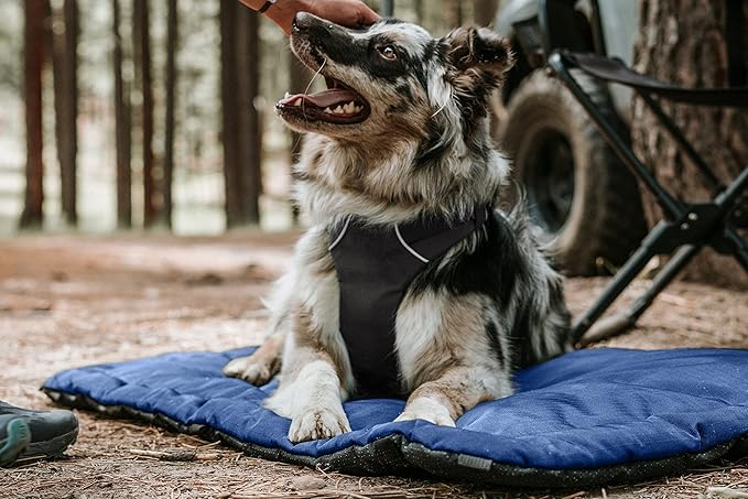 K9 Ballistics Tough Ripstop Dog Crate Pad - Durable, Machine Washable Kennel & Travel Mat for Puppies and Medium Dogs, 35 x 22 fits 36” Wire Crate, Light Gray Velvet