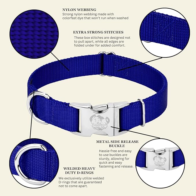Country Brook Petz - Premium Nylon Dog Collar with Metal Buckle for Small Medium Large Breeds - 10+ Cool Colors (Small, 3/4 Inch, Bright Royal Blue)