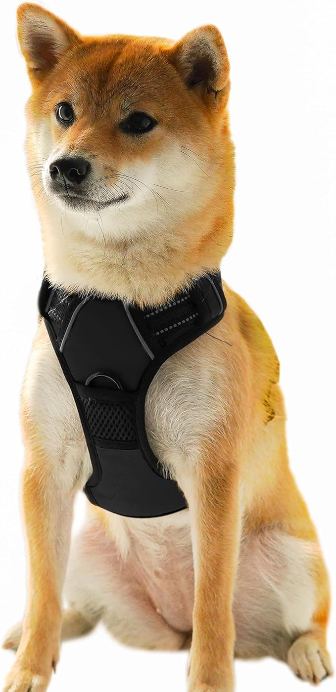Ziggy Pet Dog Harness Adjustable Nylon Mesh Vest with Leash Clips (Black, Extra Large)