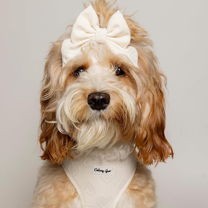 Large Dog Harness Set – Cute No Pull, All Weather, Breathable Harness and Leash Set with Collar, Bandana, Sailor Bow & Poop Bag Holder – Adjustable, Soft & Stylish – Cream Hearts on Jacquard Fabric