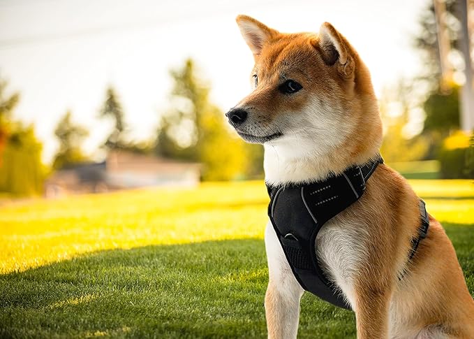 Ziggy Pet Dog Harness Adjustable Nylon Mesh Vest with Leash Clips (Black, Extra Large)