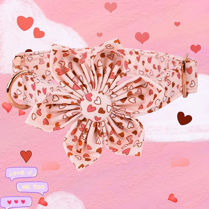 Elegant Little Tail Valentine's Heart Dog Collar, Cute Detachable with Flower, Gift Pet Collar Adjustable for Small Puppy