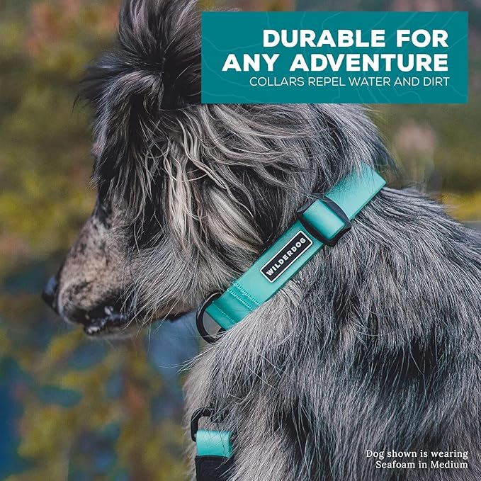Wilderdog Waterproof Dog Collar - Repels Water & Dirt - Medium 13"-18" - Tie Dye