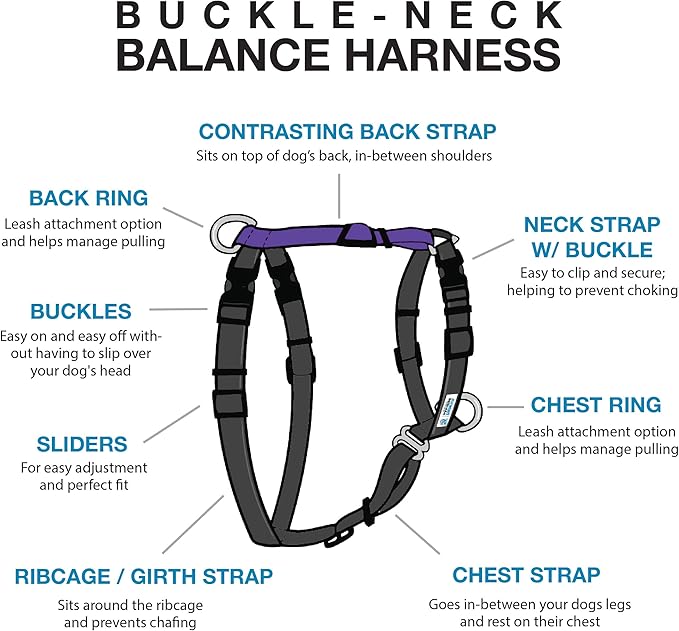 Blue-9 Buckle-Neck Balance Harness, Fully Customizable Fit No-Pull Harness, Ideal for Dog Training and Obedience, Made in The USA, Purple, Medium/Large