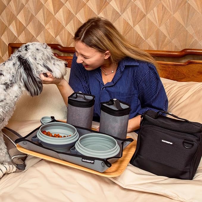 Cleverpup Large 7-Piece Bistro Box Dog Food Travel Kit, 12 Cup BPA-Free Kibble Storage, 2 Silicone Bowls, Mat & Scoop - Portable Pet Food Kit for Weekends, Overnights, Daycare & Camping, Graphite