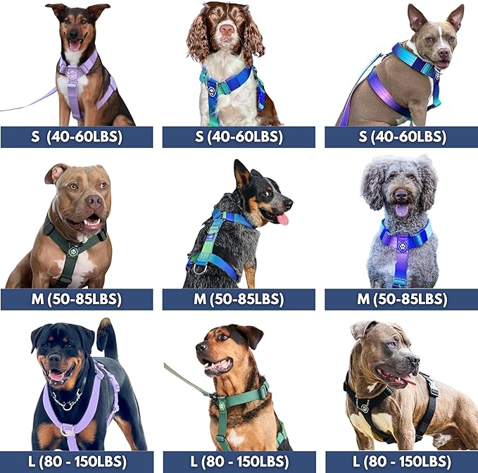 Spark Paws No Pull Dog Harness for Large Dogs, Heavy Duty Dog Harness for Big Strong Breeds, Adjustable, Y Shaped Padded Halter Design with Front Clip - Solid Green – L