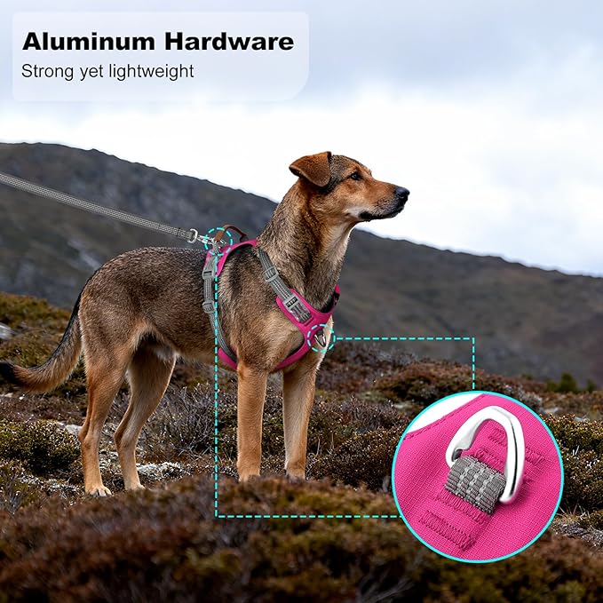 No Pull Dog Harness – Adjustable Reflective Nylon Vest for Small Medium Large Dogs, Escape Proof Training Harness with Leather Control Handle, Lightweight Aluminum Hardware (Hot Pink, M)