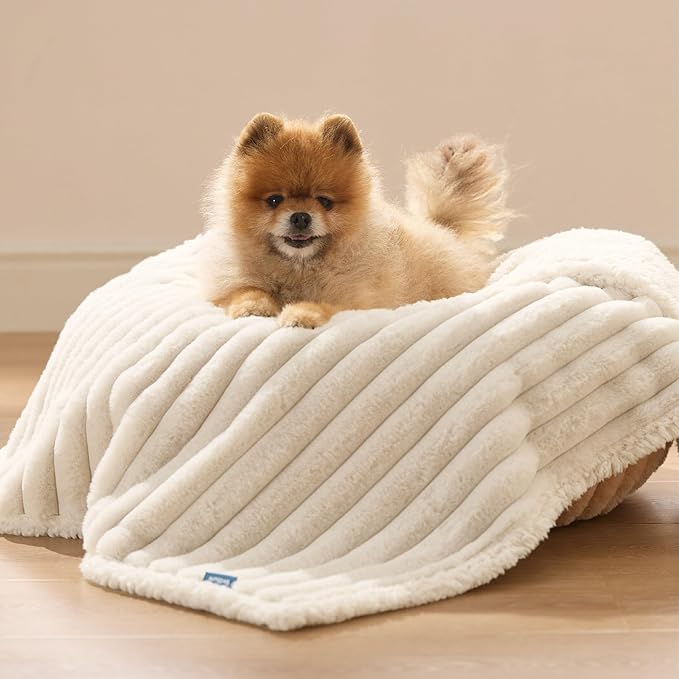 Bedsure ComfyFleece Waterproof Dog Blankets for Small Dogs - Soft Puppy Cat Blanket Corduroy Fleece Washable, Cozy Calming Reversible Furniture Protection for Pet Kitten Doggy,25"x35", Cream
