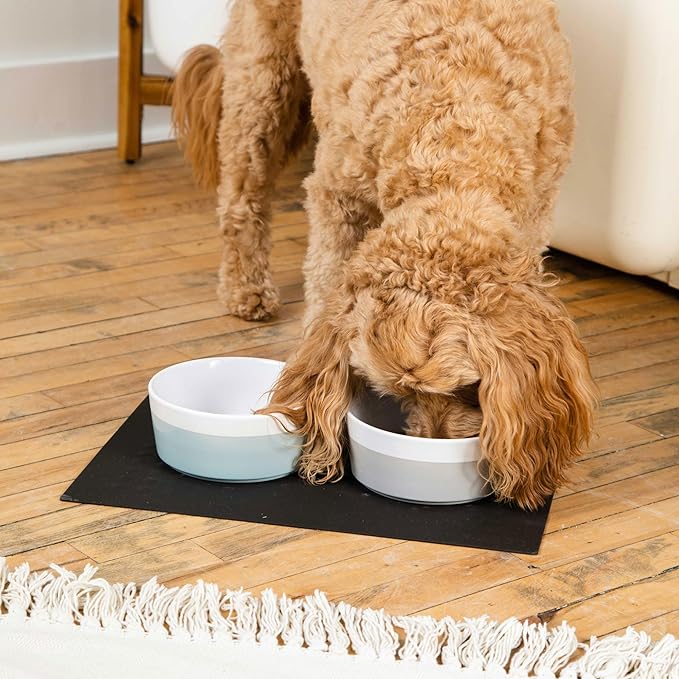 Waggo Dipper Ceramic Dog Bowl for Small and Large Breeds - Heavyweight and Durable Pet Food and Water Dish Crock, Dishwasher Safe, Modern (Light Grey, Small)