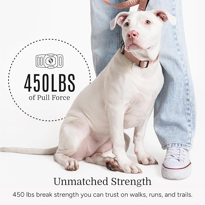 2026 New Edition, Fei & Eve MagEase Dog Collar - Patented Magnetic Buckles | Fur-Safe | Premium 210D Nylon | 450LB Escape-Proof | Adjustable Fit | Medium (Blush)
