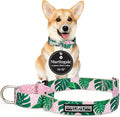 Lucky Love Dog Martingale Dog Collar - Adjustable, No-Slip, Comfortable, Durable, Soft Webbing & Stylish Patterned Collar for Male and Female Dogs Ideal for Training & Walking - Laguna, Small