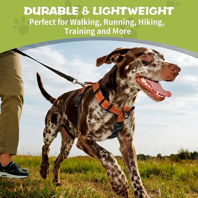 Dog Harness,Adjustable No Pull Dog Harness,Y-Shaped Design,Buckle-Neck Balance Harness with Reflective, Ideal for Dog Training Hiking, Easy Walk Harness,Durable High-Tensile Nylon-Orange-M