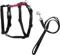Blue-9 Pet Products No-Pull Balance Harness and Loose Leash Walking Set Dogs, Made in The USA, Red, Medium