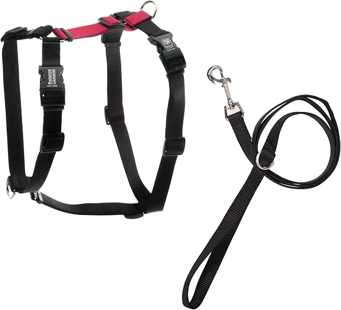 Blue-9 Pet Products No-Pull Balance Harness and Loose Leash Walking Set Dogs, Made in The USA, Red, Large