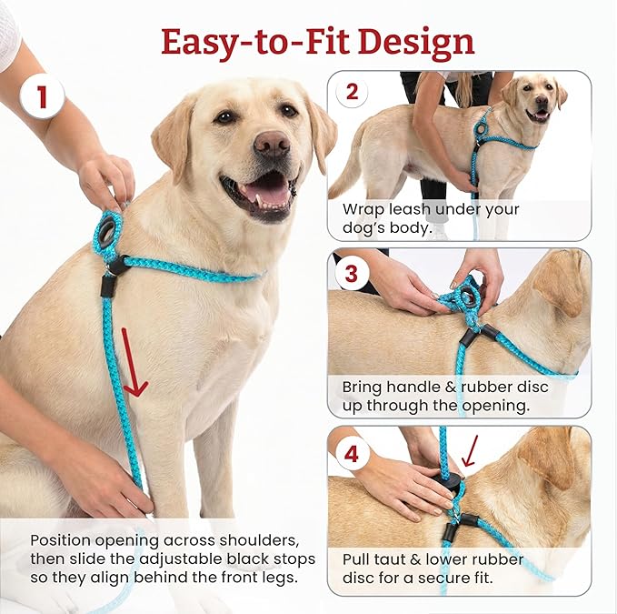Harness Lead No Pull Dog Harness and Leash Set, Anti Pull Dog Harness, One-Piece Cushioned Rope Safely Prevents Escaping and Pulling *New Insert is Removable (Small/Medium, Peacock/Blue/Lime)