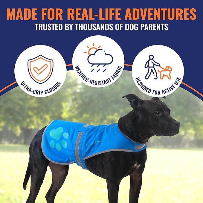 SafetyPUP XD Dog Reflective Vest – Hi-Vis Fluorescent Visibility That Helps to Safeguard Your Pet On/Off Leash in Urban & Rural Areas (Blue, X-Large)