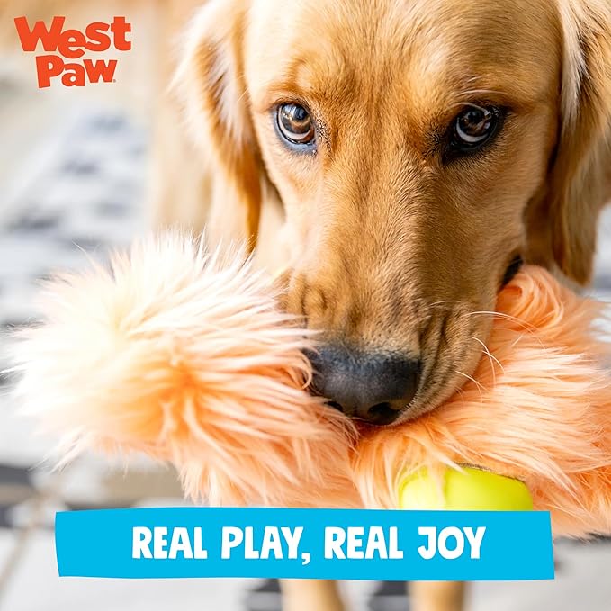 WEST PAW Rowdies Helga Durable Plush Dog Toy with Reinforced Seams Chew Resistant HardyTex Fabric and Interactive Squeaker for Safe Indoor and Outdoor Playtime Bundle for Dogs - Melon
