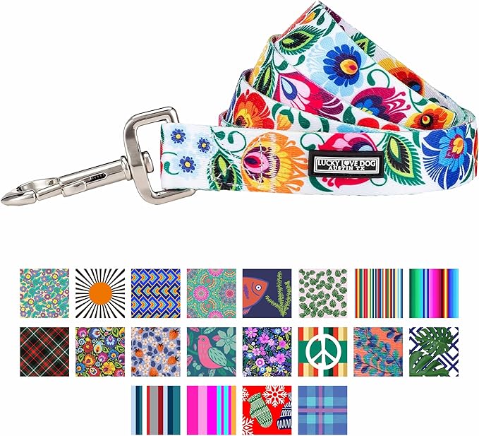 Lucky Love Dog Leash – Soft, Durable, and Comfortable Leash with Vibrant Patterns – Stylish and Long Lasting for Large Male and Female Dogs – Ladybird, Large