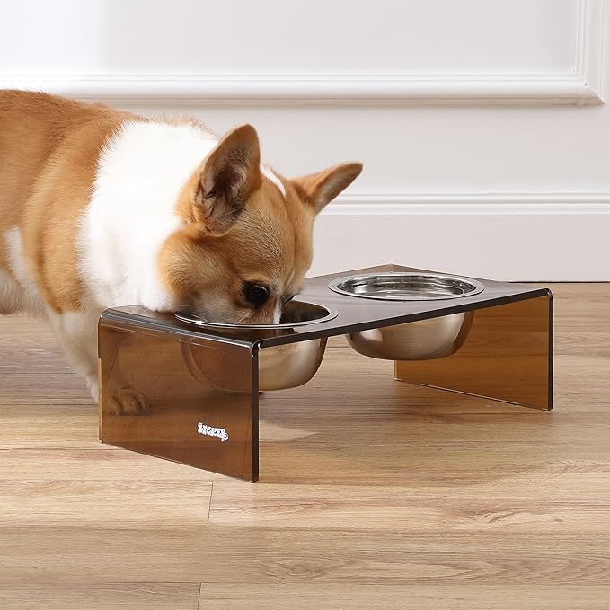 The LICKER Store DBL2000D Keaton 5" Small/Medium Modern Acrylic Rectangular Elevated Pet Feeder with 20oz 2-Stainless Steel Bowls, Amber/Chrome