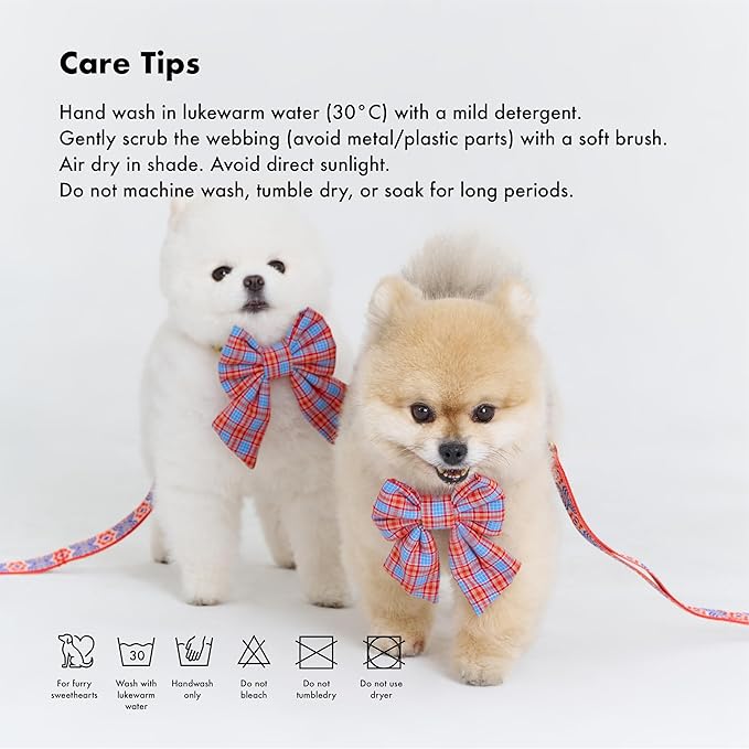 Signature Dog Leash – 63in Durable Double-Sided Jacquard Webbing, Ergonomic 0.8in Grip, Safety-Tested Hardware – Made in Korea (Basic, Scarlet Lotus)