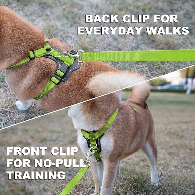 Plutus Pet Adjustable No Pull Dog Harness with Leather Accents, Heavy Duty Reflective Nylon Vest for Training, Hiking, Easy Walk Harness for Small, Medium, Large Dogs (Green, M)
