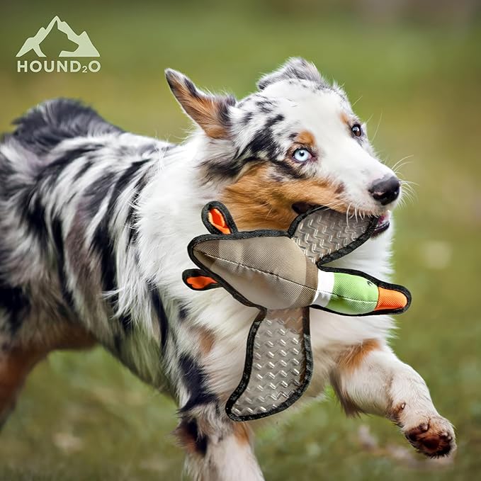Plush Dog Toys | Flying Duck Stuffed Animal Squeaky Toy for Dogs | Outdoor Pet Toy Built for Adventure
