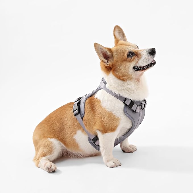HNS1002N Arlo Medium Adjustable Soft Padded No Pull Pet Harness with 3 Buckles and 3 Leash Clips, Martini