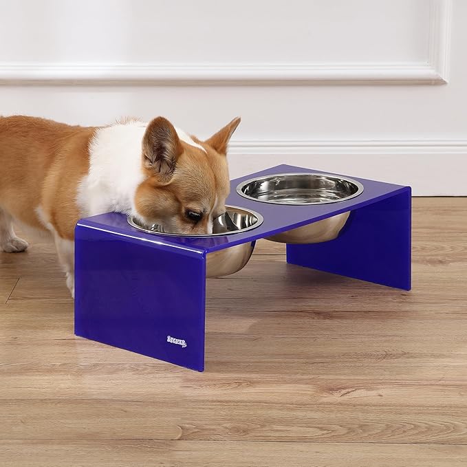 The LICKER Store DBL2001F Keaton 7.5" Medium/Large Modern Acrylic Rectangular Elevated Pet Feeder with 54oz 2-Stainless Steel Bowls, Purple/Chrome