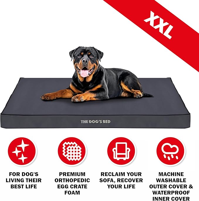 The Dog’s Bed Orthopedic Standard Foam Dog Bed Mattress, Oxford Fabric, Grey with Black Trim, XXL