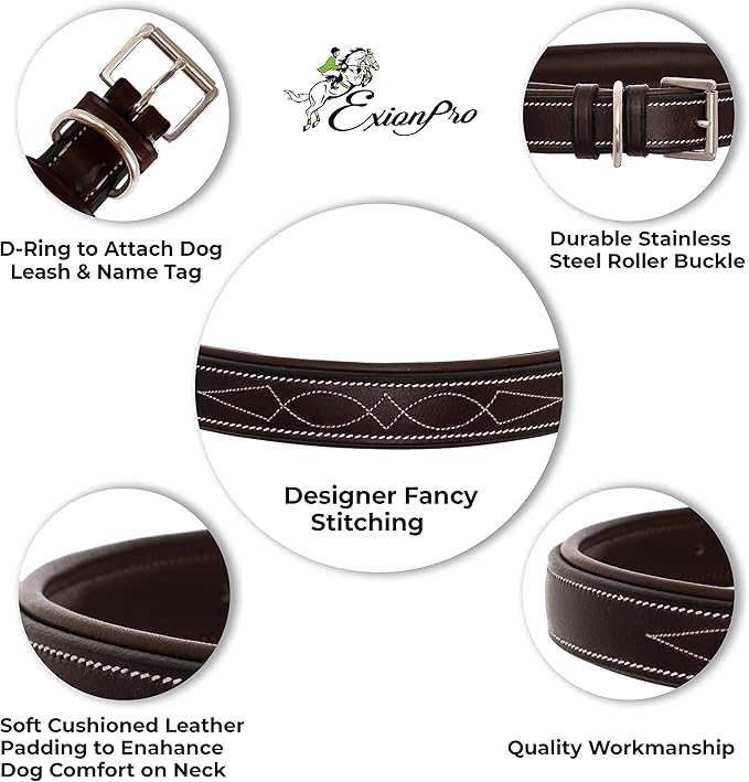 Exion Heavy Duty Dog Collar Designer Stitched Soft Leather Padded- Suitable for Small Medium Large X-Large Dogs for Walking Running Training- Black with Oak Brown Padding
