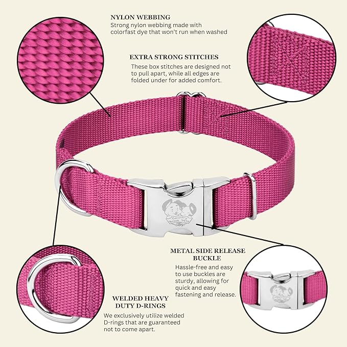 Country Brook Petz - Premium Nylon Dog Collar with Metal Buckle for Small Medium Large Breeds - 10+ Warm Colors (Small, 3/4 Inch, Rose)