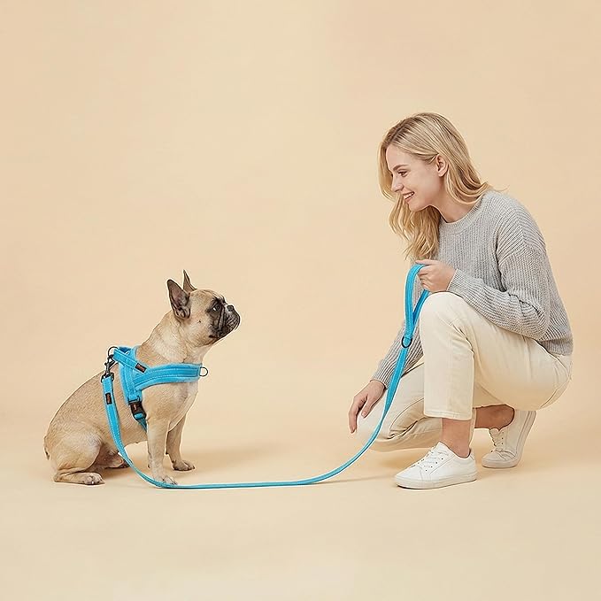 Didog Soft Flannel Padded Dog Vest Harness, No Pull/Quick Fit Reflective Dog Strap Harness, Easy for Training Walking (XXS:Chest 12-15", Blue)