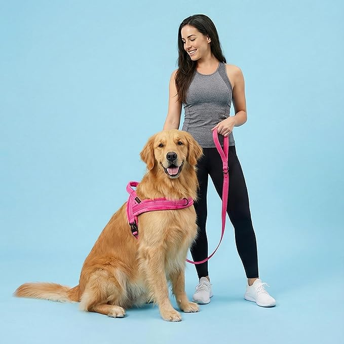 Didog Soft Flannel Padded Dog Vest Harness, No Pull/Quick Fit Reflective Dog Strap Harness, Easy for Training Walking (M:Chest 21-26", Hot Pink)