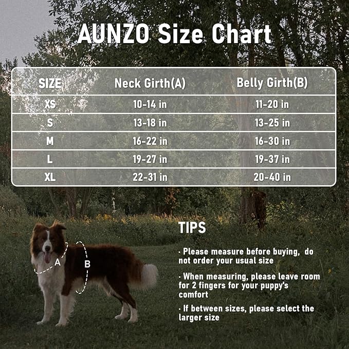 Dog Vest Harness No Pull Easy Walker Pet Harness for Walking Training Hiking for M Sized Dogs with 2 Leash Clips 3 Buckles ID Card Reflective Strip Soft Padded Handle, Tribal, French Bulldog